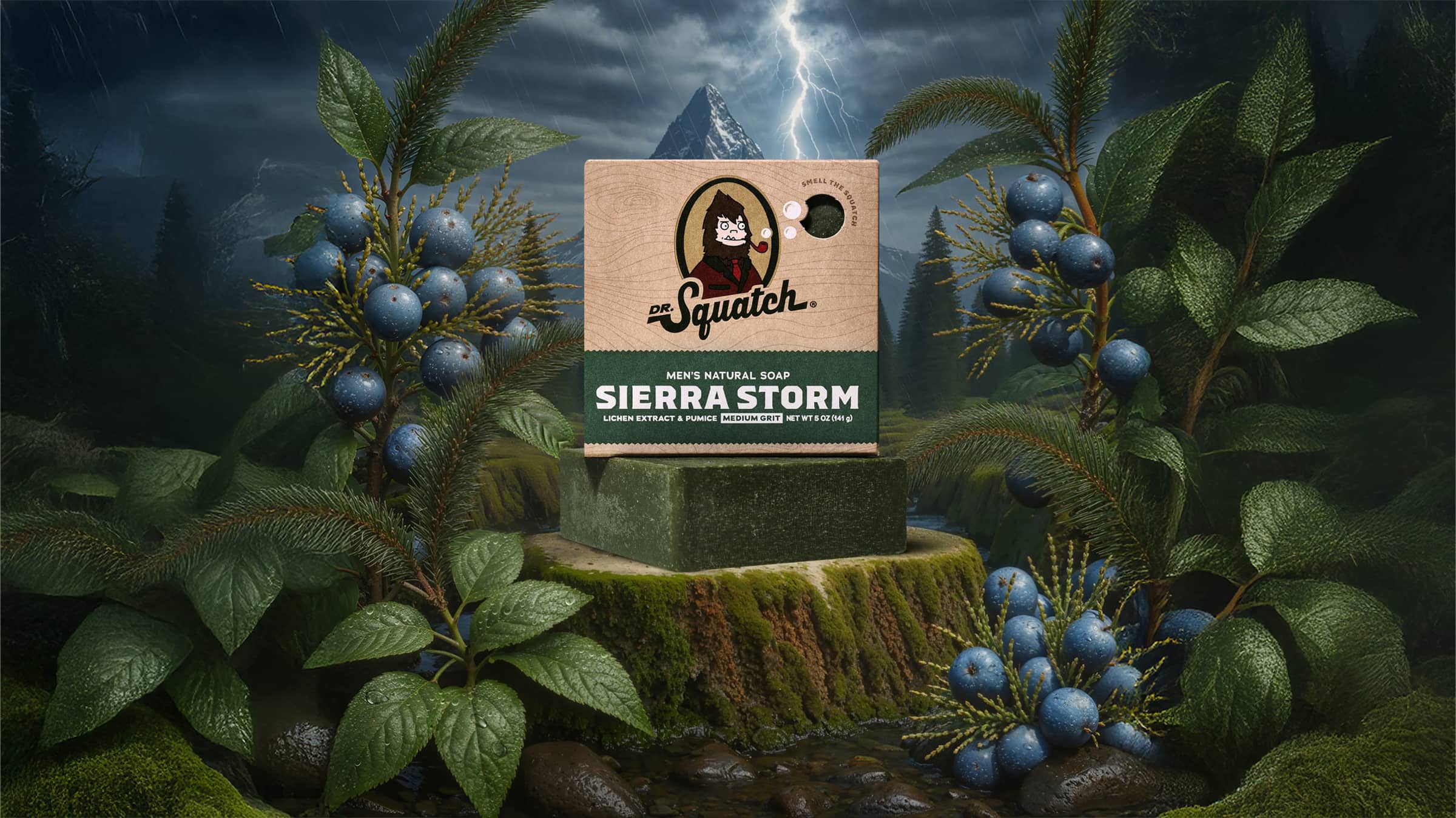 Sierra Storm - Image 2