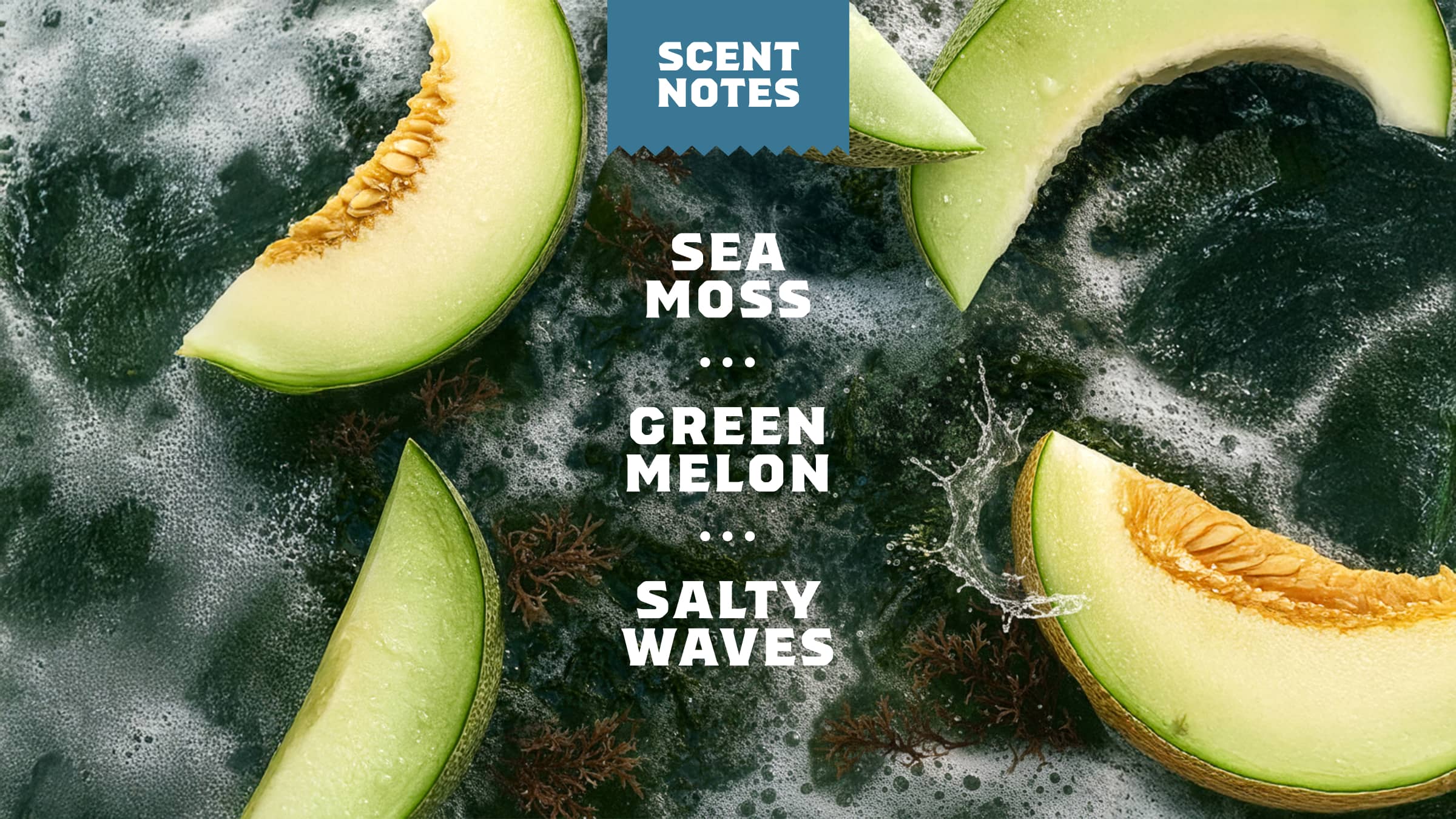 Coastal Mist Spray Deodorant - Image 4