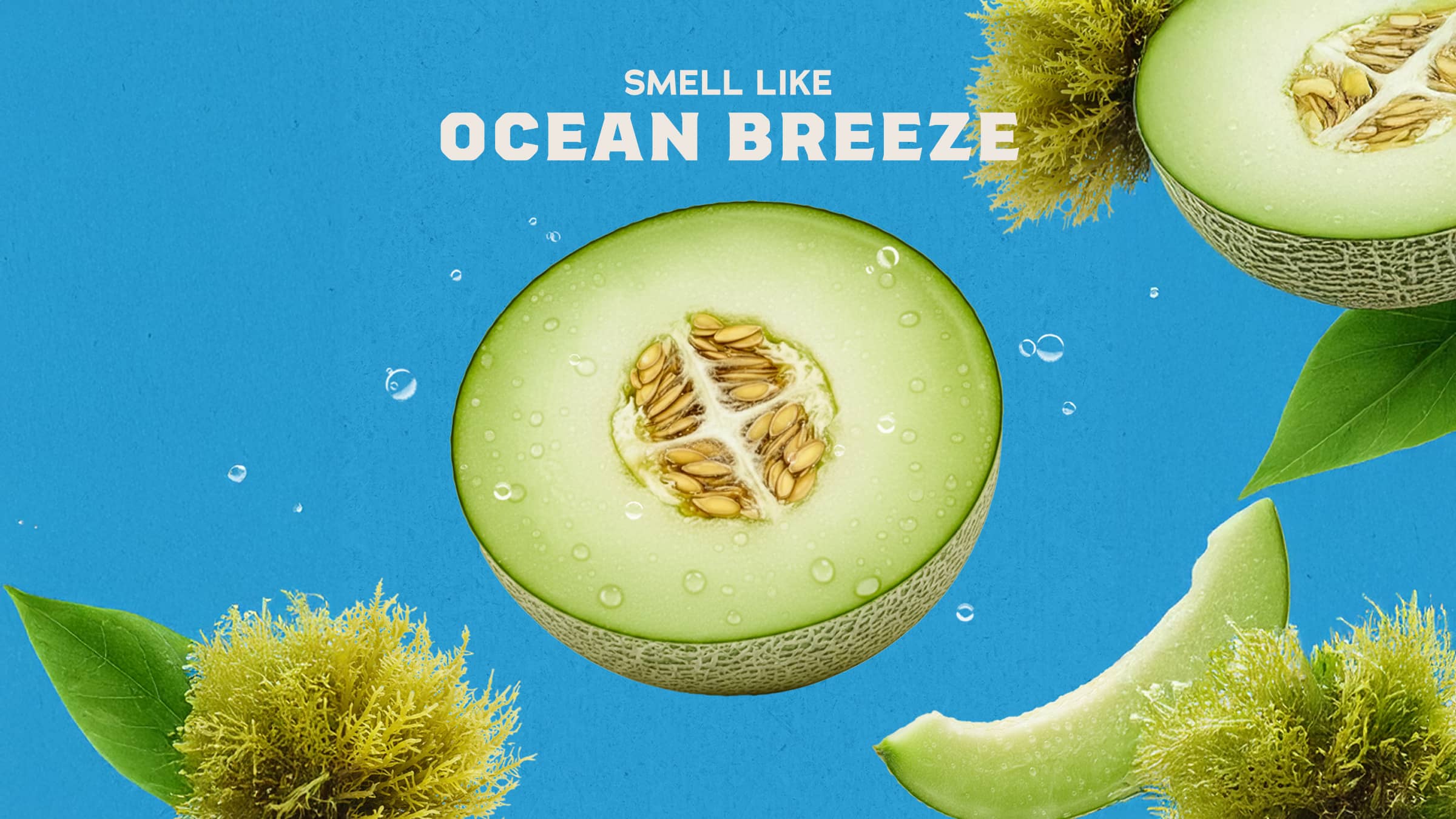 Coastal Mist Spray Deodorant - Image 3