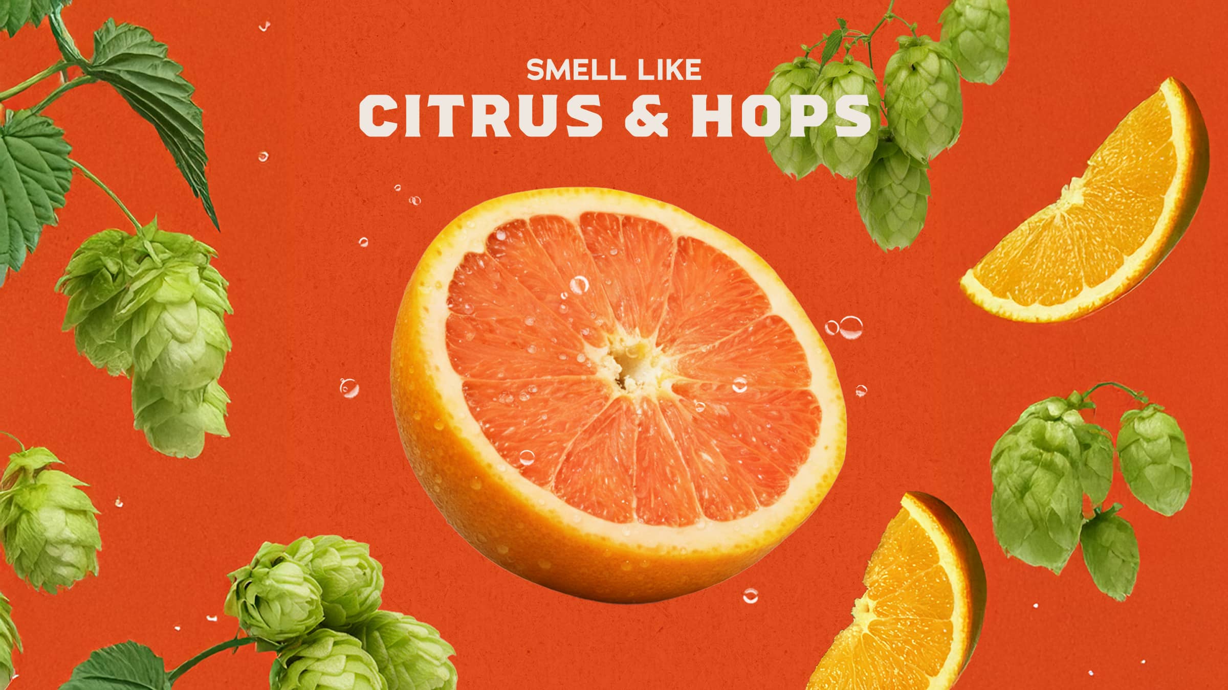 Grapefruit IPA - Image 3