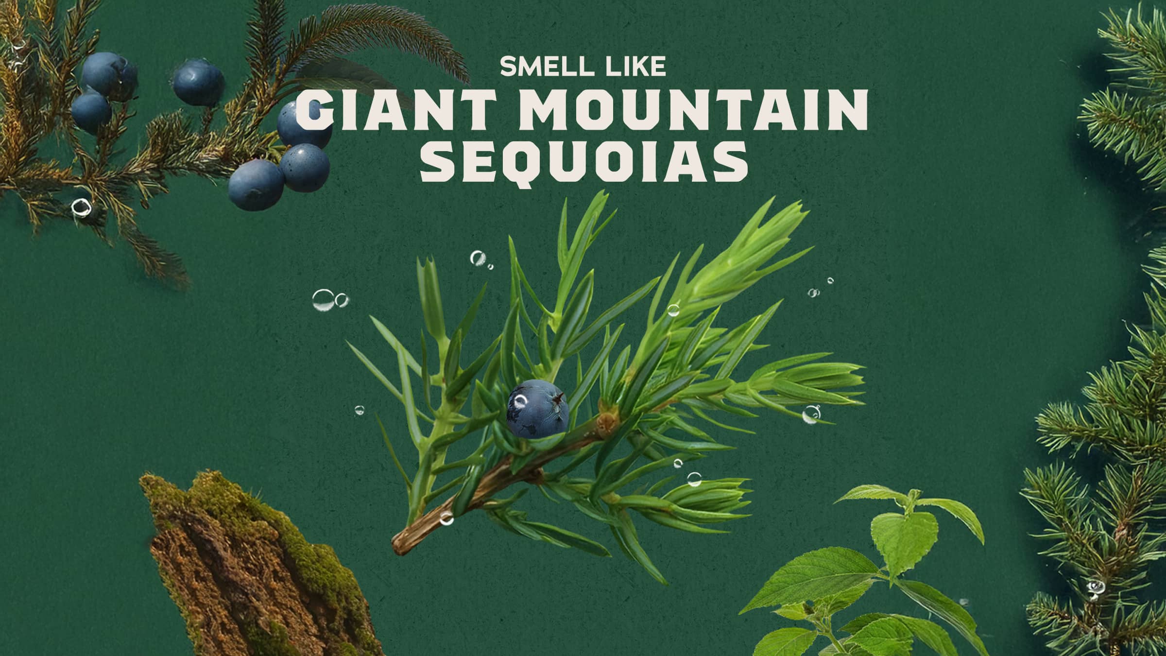 Sierra Storm Spray Deodorant - Image 3